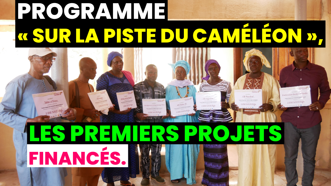 Kédougou :Programme « Sur la Piste du caméléon », les premiers projets ont reçu leurs financements.